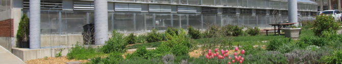 University Greenhouse